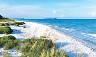 Scenic Broadwater